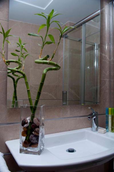 Hotel San Sebastian Hospederia Cieza Ngoại thất bức ảnh